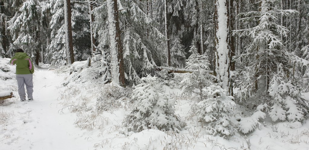 8m SPV01, s.r.o. , Praha IČO 11796839