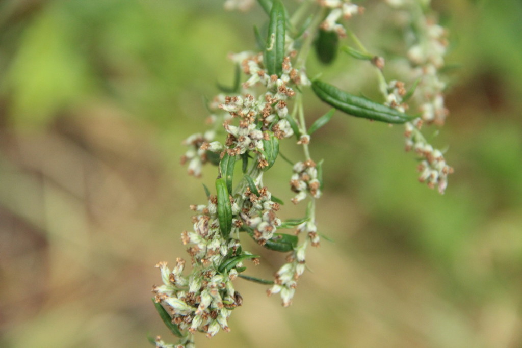 Neklanova 123/19, Vyšehrad, 128 00 Praha