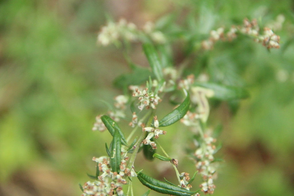POVOLSTAV PRAHA s.r.o. , Praha IČO 07619693