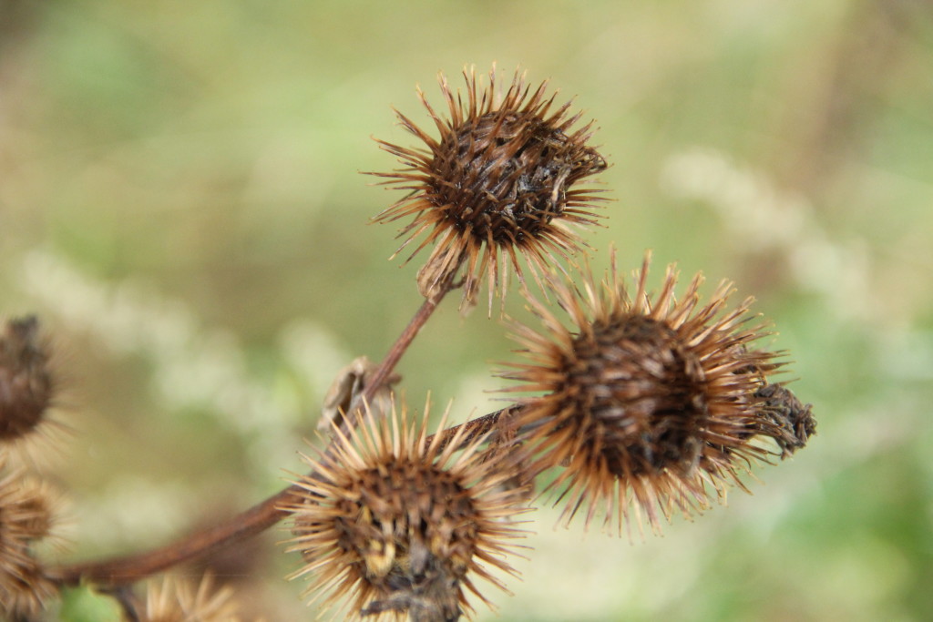 POVOLSTAV PRAHA s.r.o. , Praha IČO 07619693