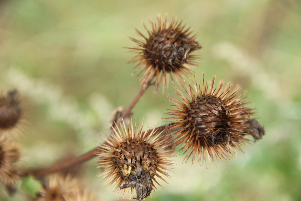 INVESTMAX s.r.o. , Praha IČO 27877698