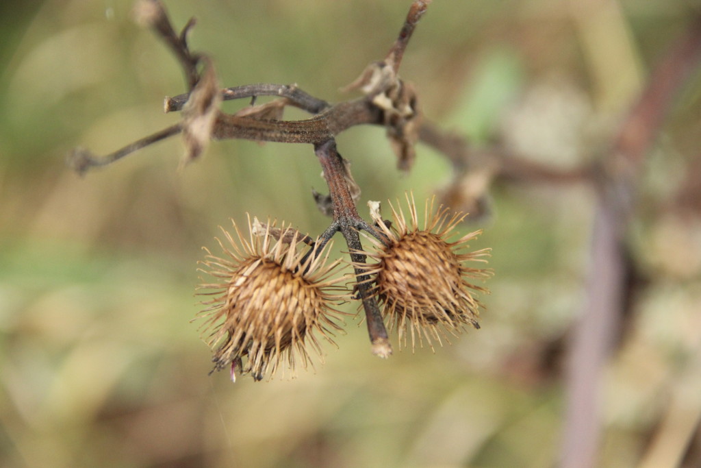 Prime controller s.r.o. , Praha IČO 23860111