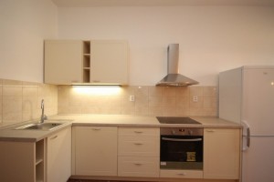 byty na prodej na Praze 2 - dobré místo pro vaší investici Praha 2 - Vinohrady