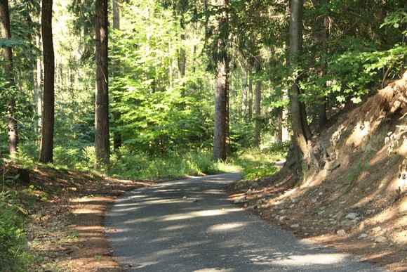 5 osobností, které učinily Košicím parádní reklamu: Na tyto slavné herce jsou v Košicích právem hrdí!