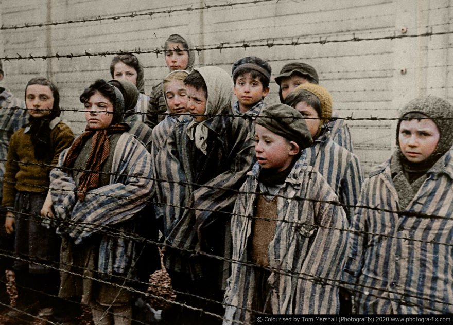 Dnes se často věří, že holocaust byl výsledkem šílenství jednoho muže. Ke genocidě by však nemohlo dojít bez vytvoření kolektivního odporu vůči Židům.